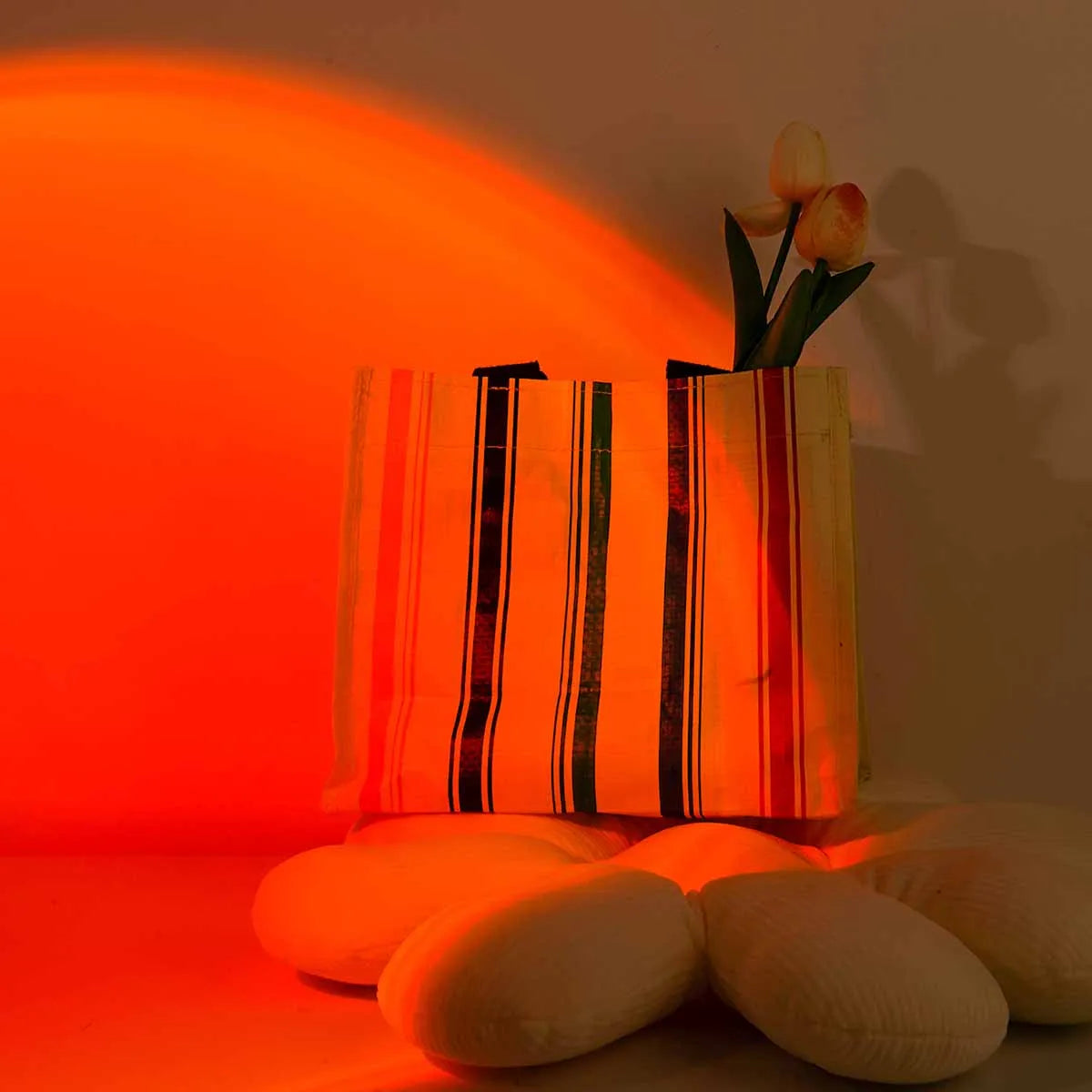 Lampe Projecteur Coucher de Soleil – 16 Couleurs
